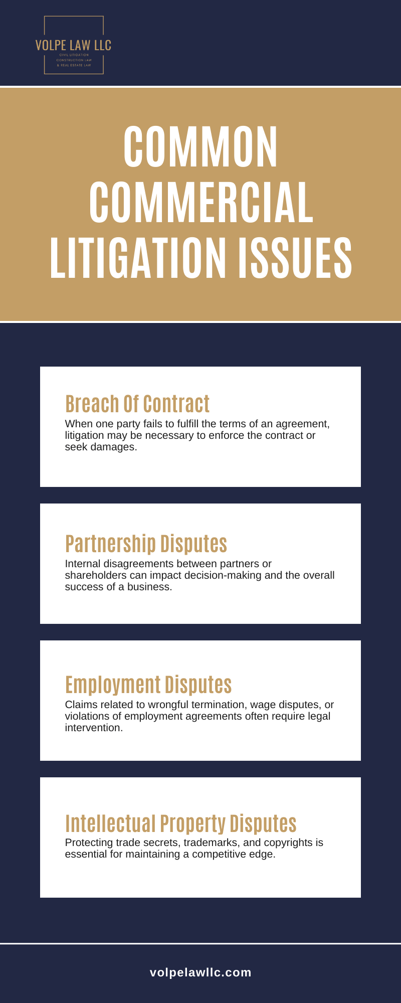 Common Commercial Litigation Issues Infographic