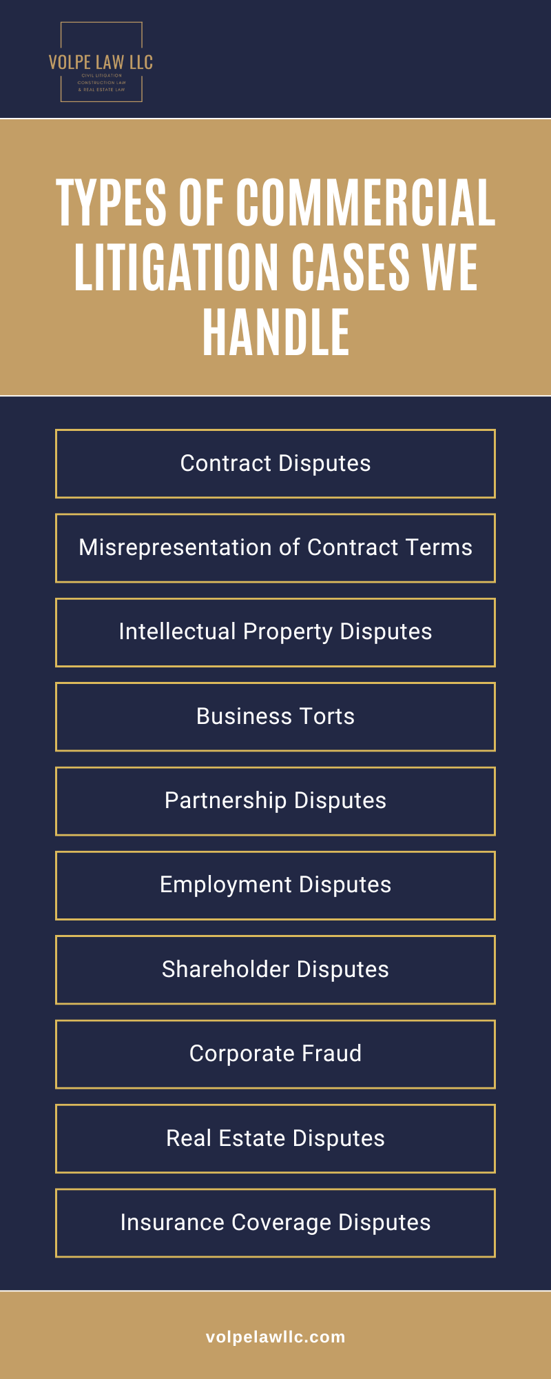 Types Of Commercial Litigation Cases We Handle Infographic